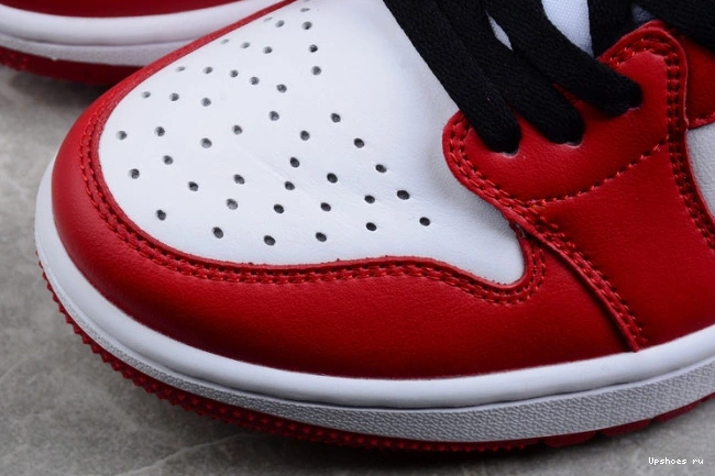  Low  1 Retro Golf  DD9315-600 Jordan Chicago 0311